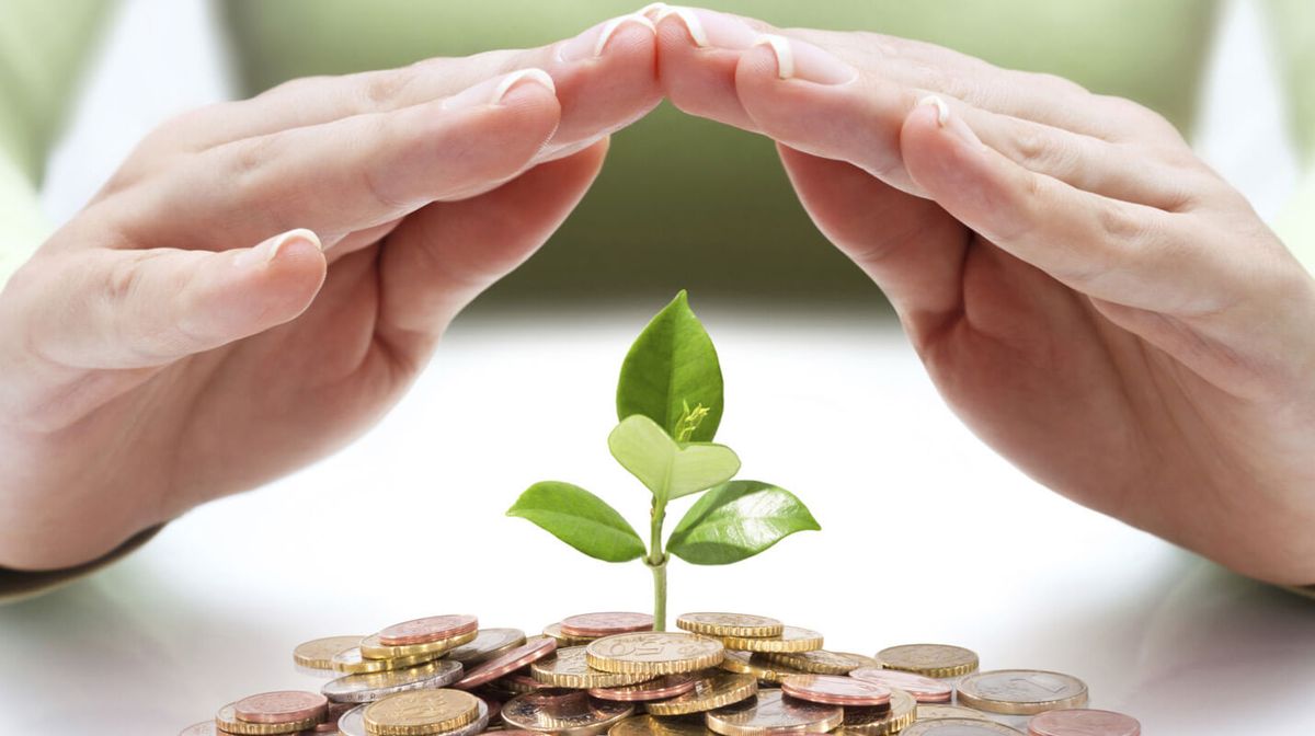 Hands protecting a young green plant – symbolising financial growth